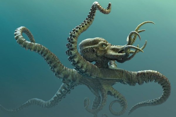 Зеркала кракен kraken014 com kraken014 com