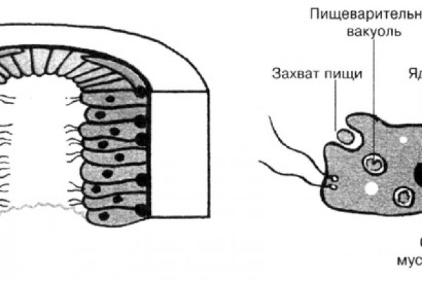 Kraken маркетплейс зеркала